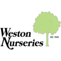 westonnurseries.com