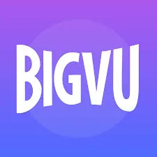 bigvu.tv